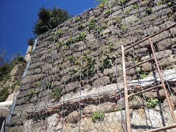 Geoconcept actividades